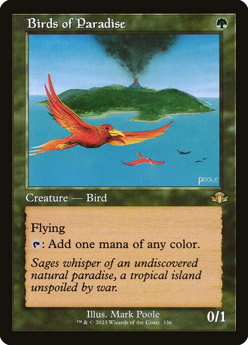 Birds of Paradise (DMR)